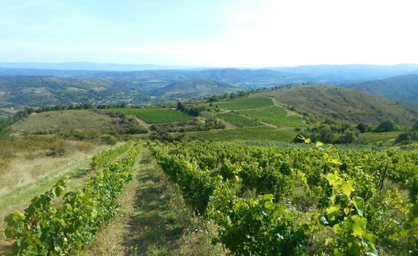 Gite Vigneron Du Domaine D'Alon Magrie Zewnętrze zdjęcie