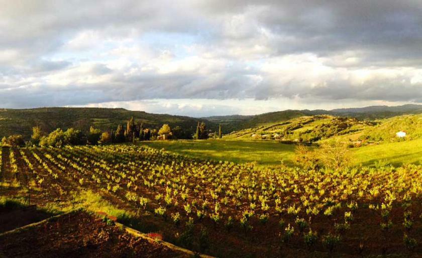 Gite Vigneron Du Domaine D'Alon Magrie Zewnętrze zdjęcie