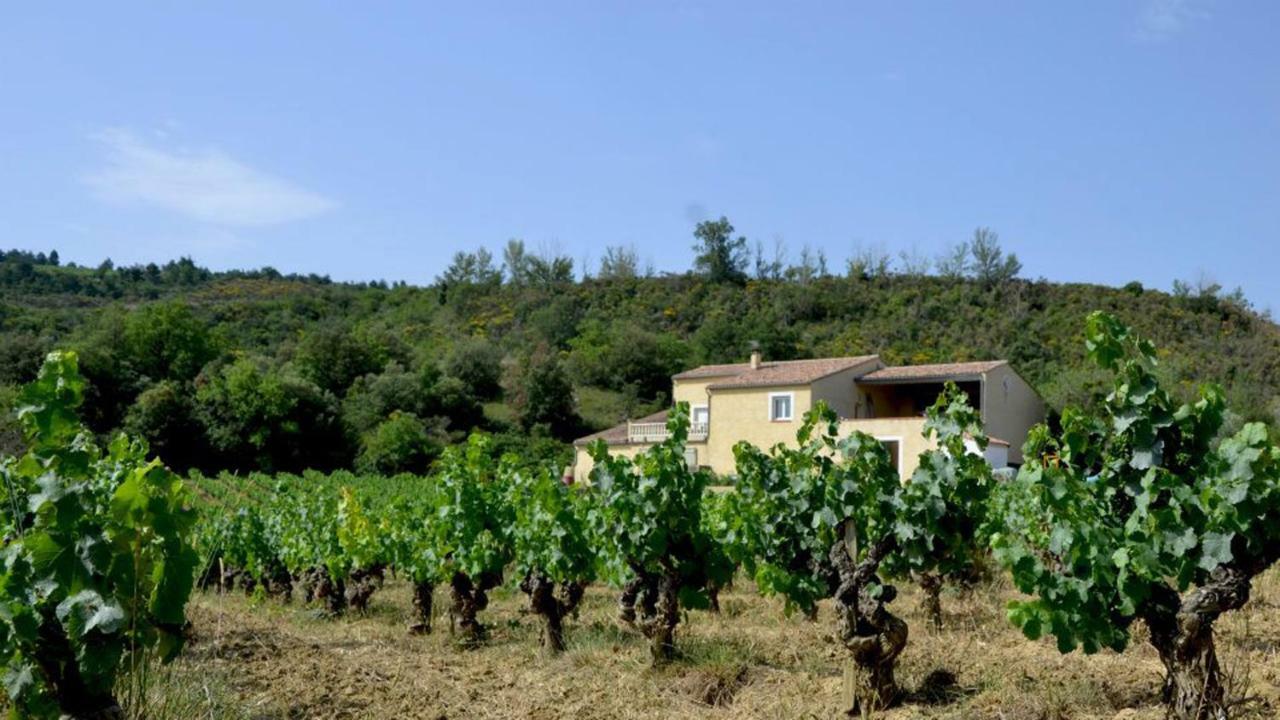 Gite Vigneron Du Domaine D'Alon Magrie Zewnętrze zdjęcie