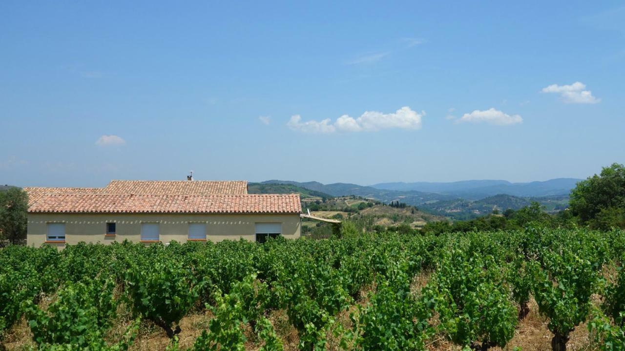 Gite Vigneron Du Domaine D'Alon Magrie Zewnętrze zdjęcie